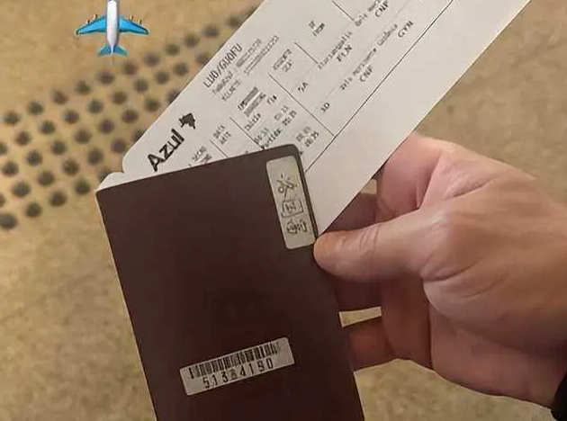 洛国富乘机晒中国护照，乘客姓名luoguofu彰显中国身份